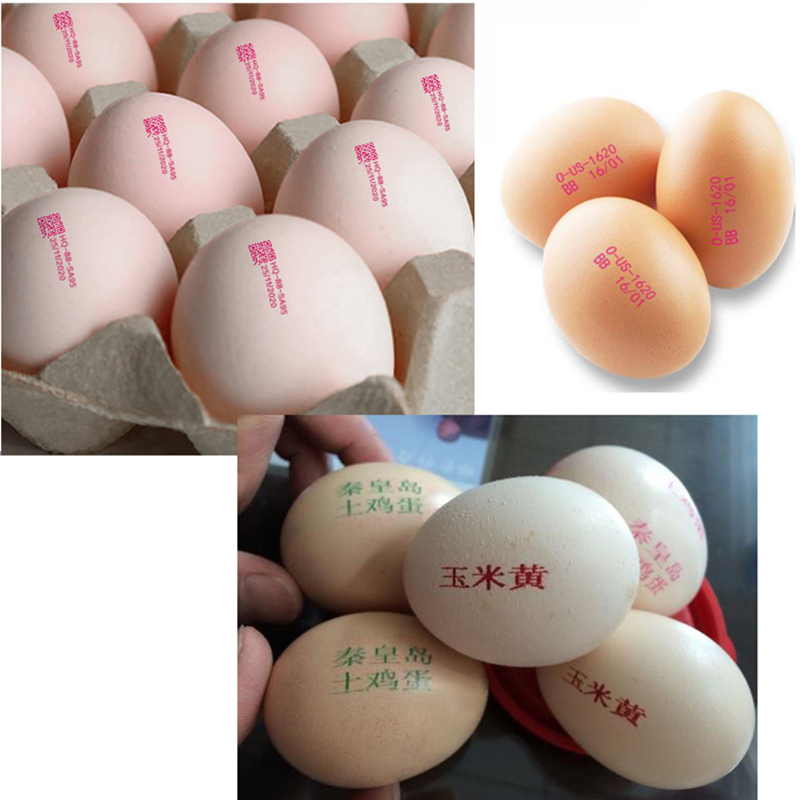 열전사 잉크젯 프린터 QR 코드 인쇄 계란 오리알 배치 - Commercial Printing Logo 리뷰 및 가격